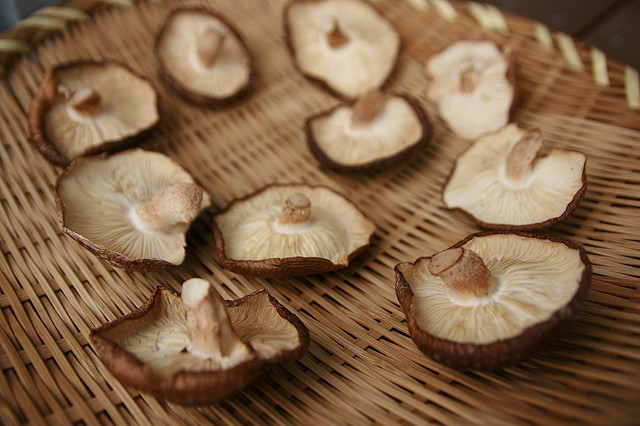 meatless-mushroom-recipes